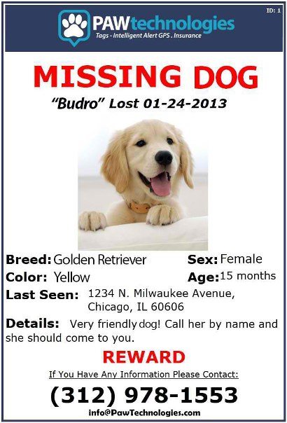 Missing Pet Intelligent Alert